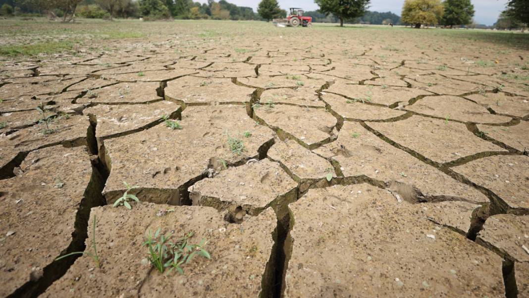 Binlerce hektar 'Mil kuraklığı' etkisinde: Tarım alanı ve meralar yok olmaya yüz tuttu 6